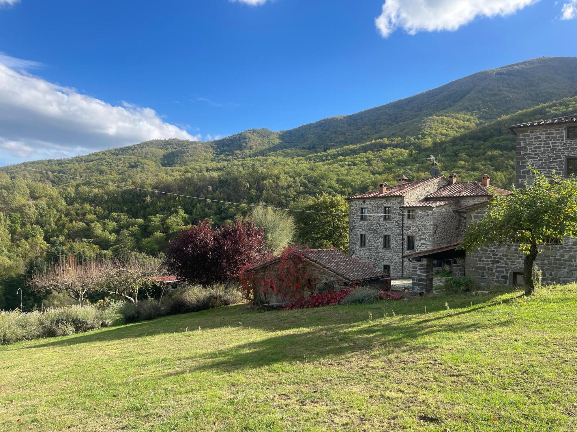 Bio Agriturismo Il Vigno Caprese Michelangelo Kültér fotó