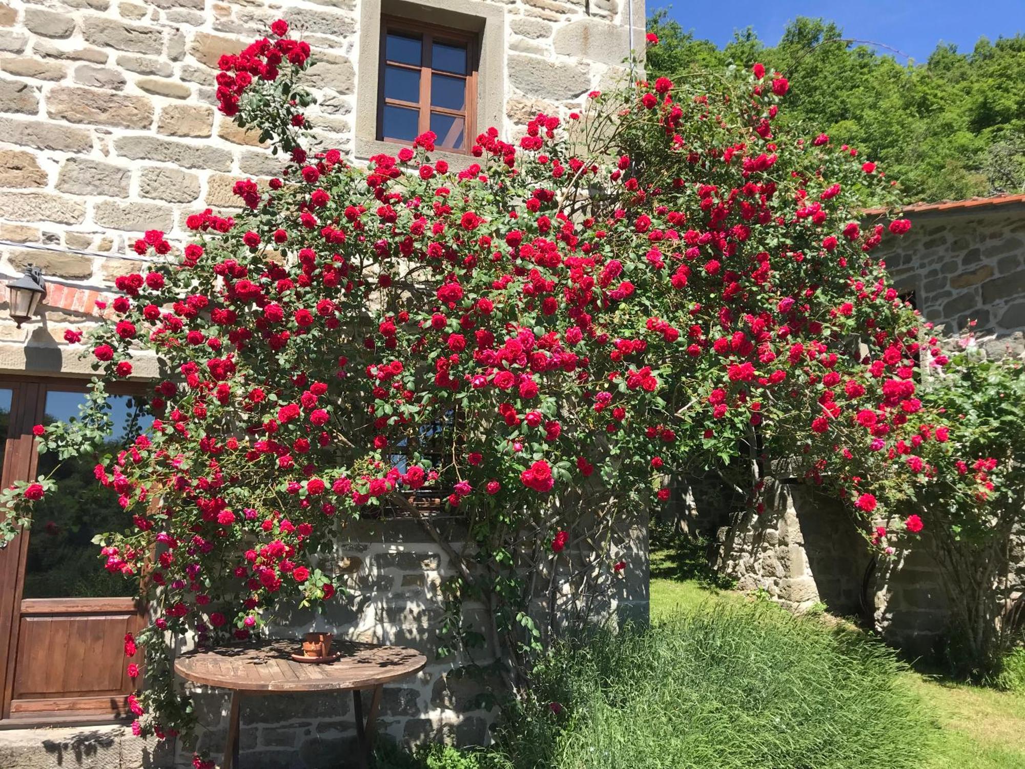 Bio Agriturismo Il Vigno Caprese Michelangelo Kültér fotó