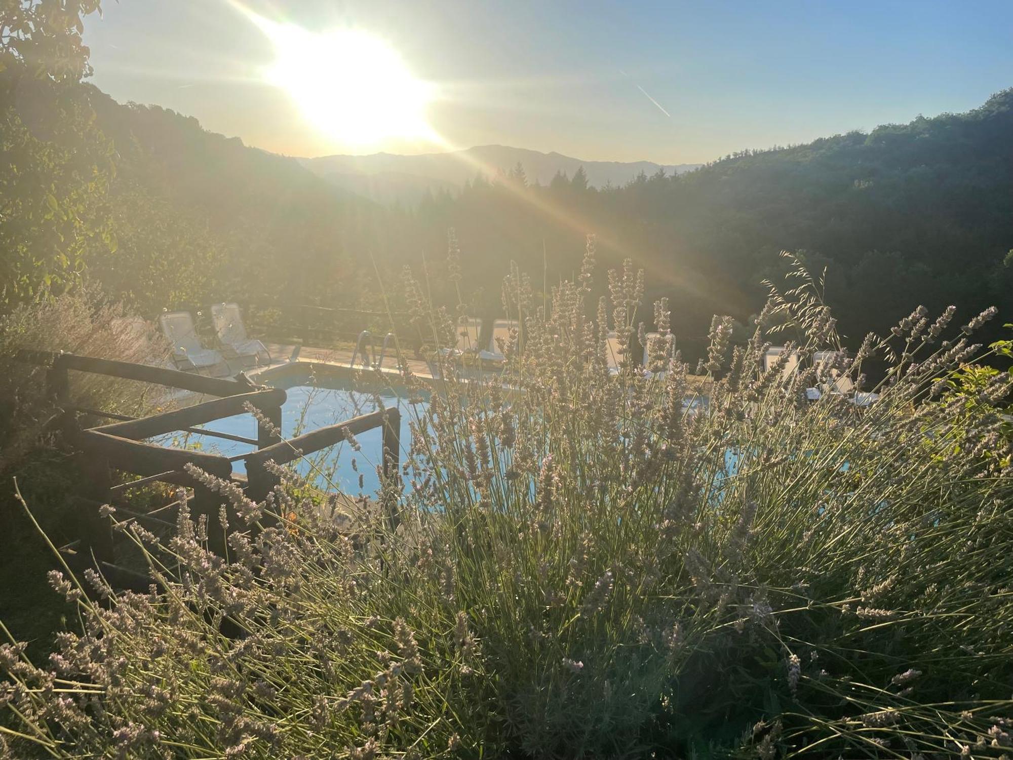 Bio Agriturismo Il Vigno Caprese Michelangelo Kültér fotó