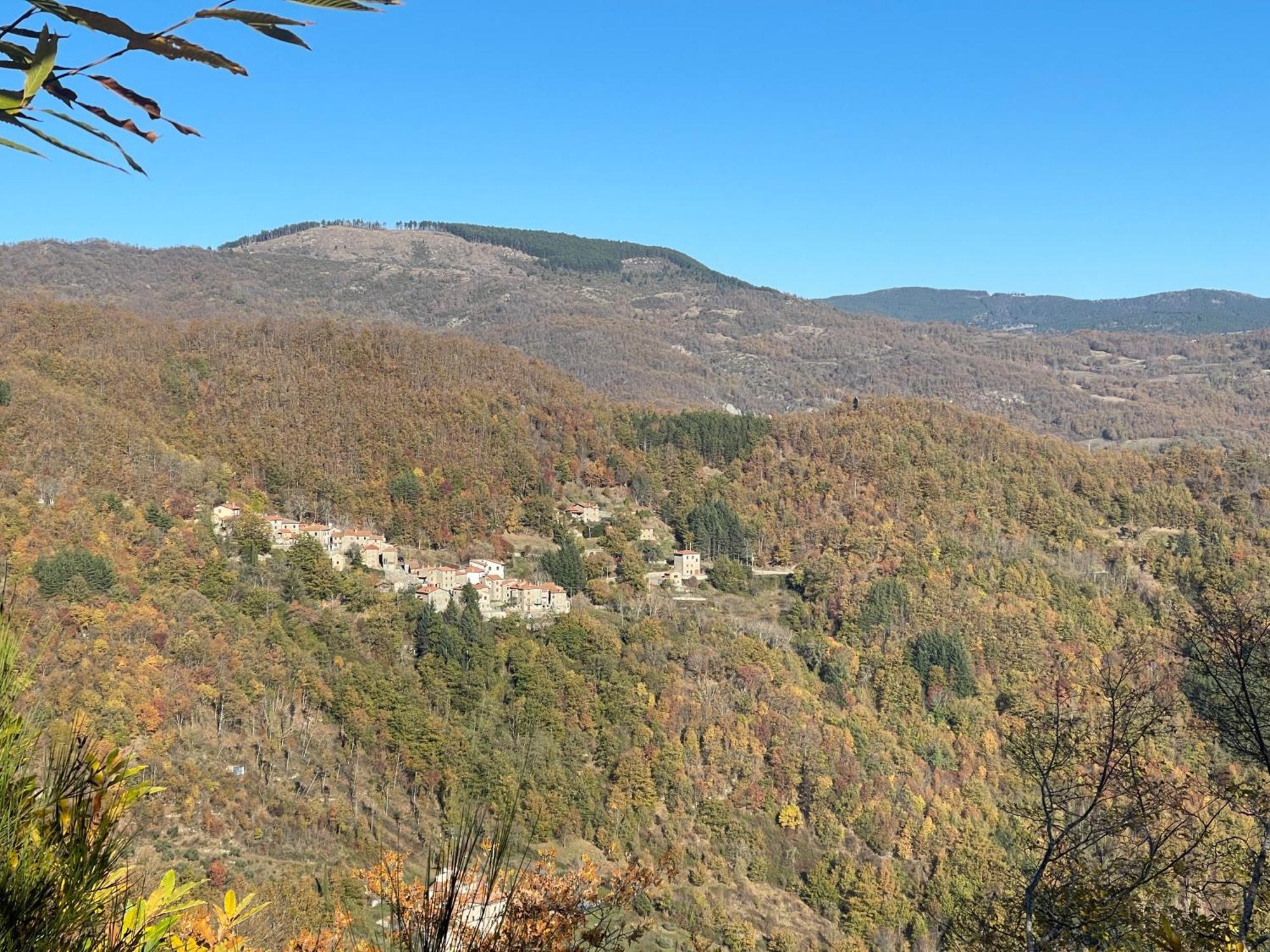 Bio Agriturismo Il Vigno Caprese Michelangelo Kültér fotó