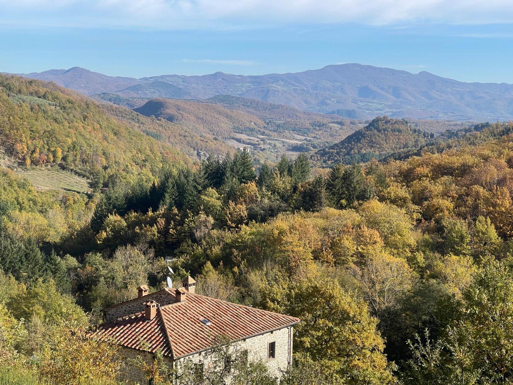 Bio Agriturismo Il Vigno Caprese Michelangelo Kültér fotó