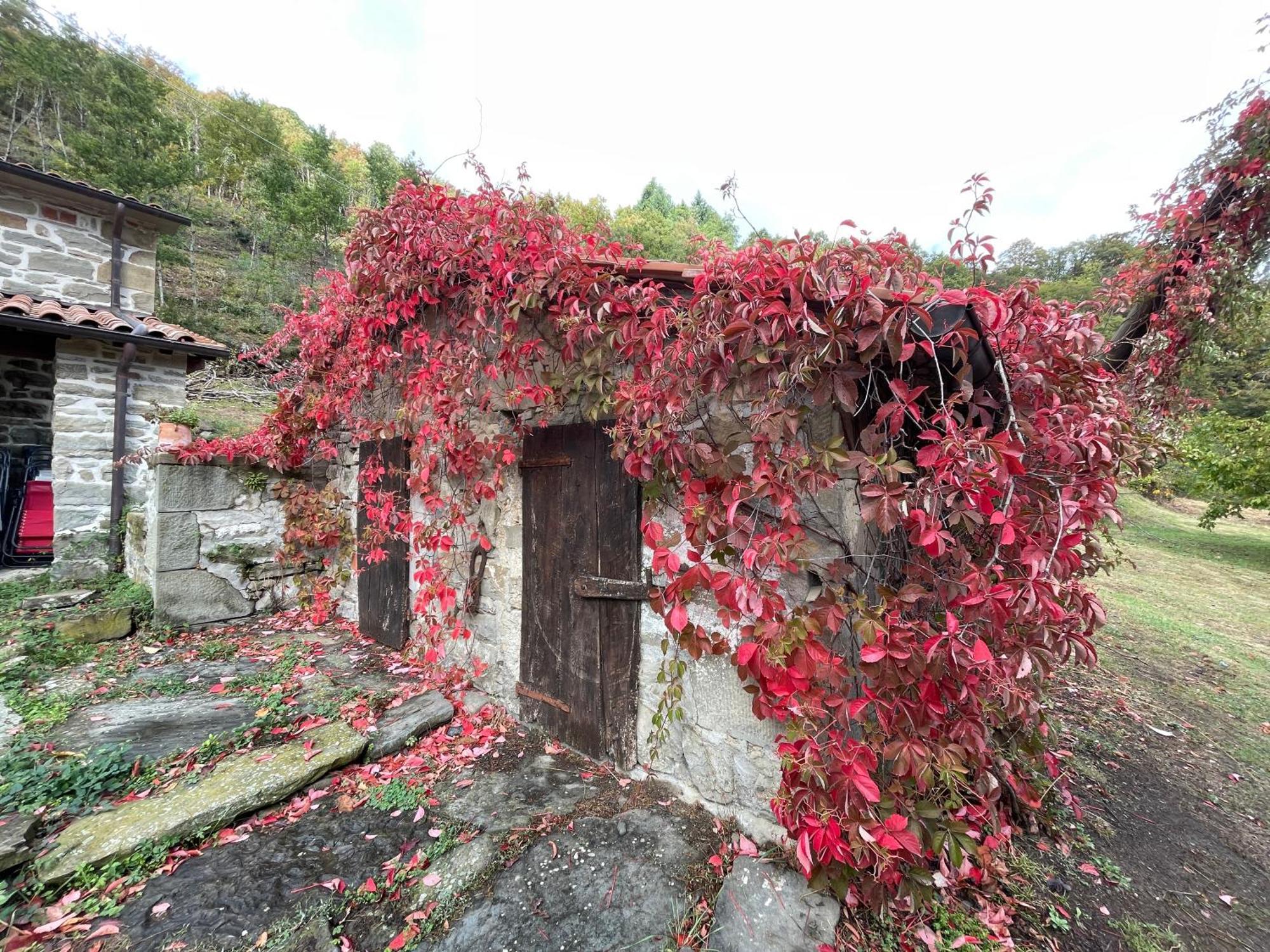 Bio Agriturismo Il Vigno Caprese Michelangelo Kültér fotó